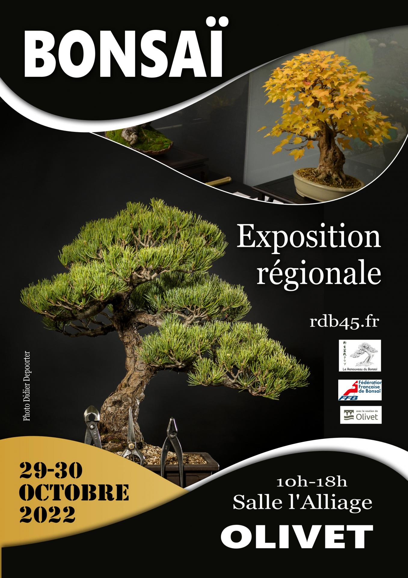 Affiche expo regionale centre 10 2022
