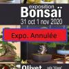 Exposition bonsai affiche copie 2 