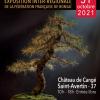 Exposition bonsai supra regionale centre 2021 1 726x1024