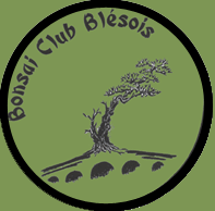 Logo bcb blois